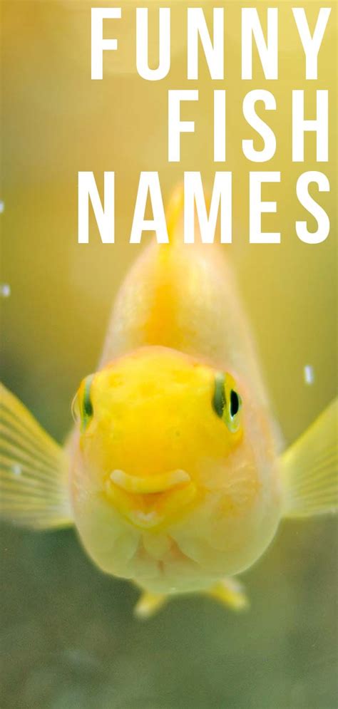 silly fish names