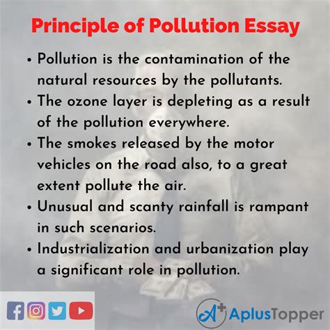 simple essay on pollution for kids PDF