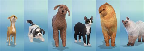 sims 4 breeds