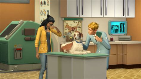 sims 4 vet career