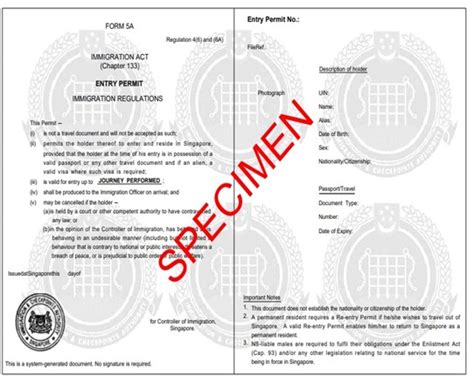 singapore driving license convert to international