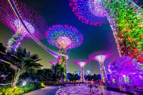 singapore gardens by the bay light show