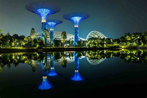 singapore gardens by the bay night