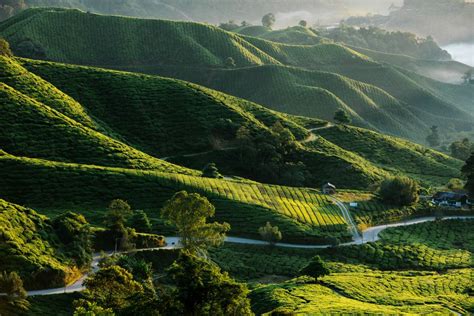 singapore to cameron highlands by train