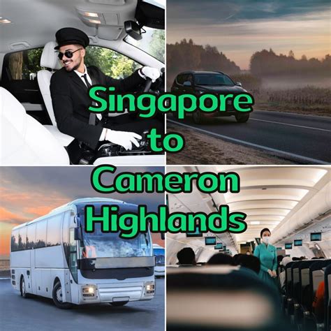 singapore to cameron highlands free and easy