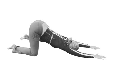 single white submissive Epub