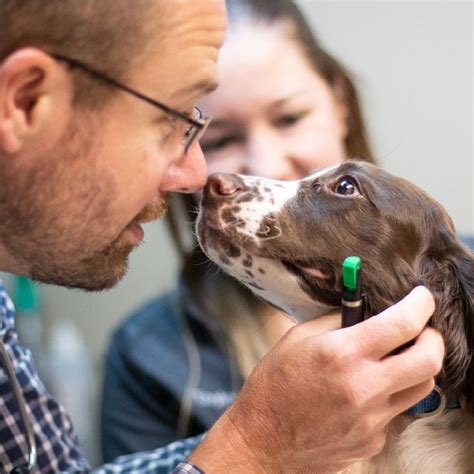 sioux falls animal hospital