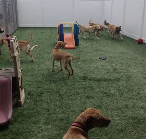 sioux falls dog kennels