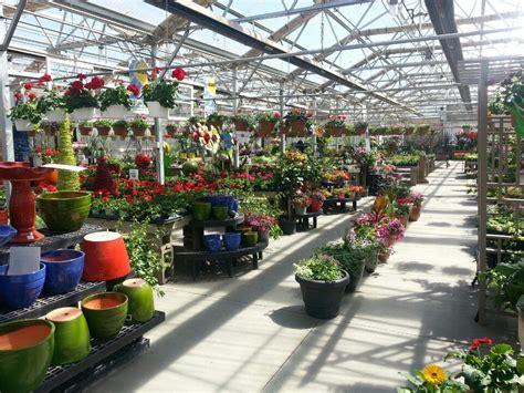 sioux falls flower shops