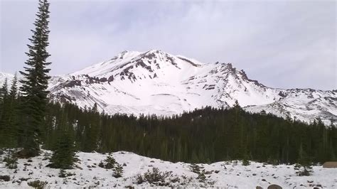 siskiyou county grapevine