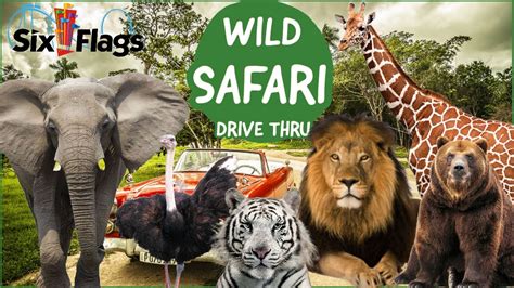 six flags wild safari new jersey tickets