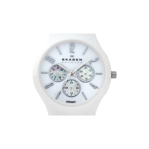 skagen 817sxwc1 watches owners manual Reader