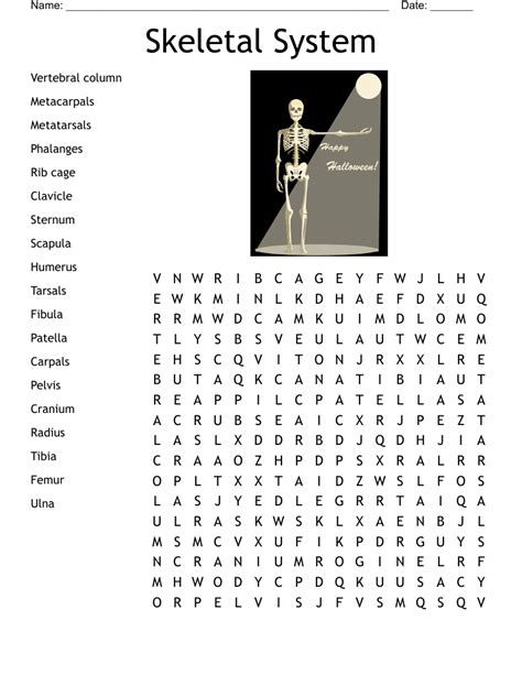 skeletal system cross word search answer key PDF