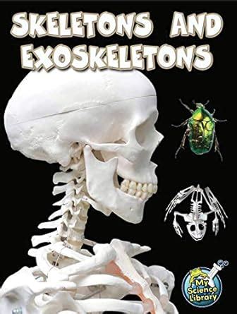 skeletons and exoskeletons my science library Reader