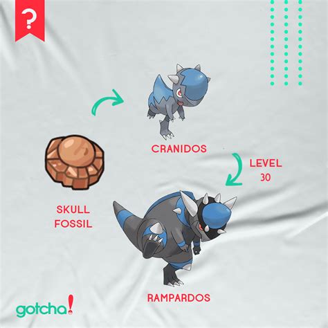 skull fossil pokemon