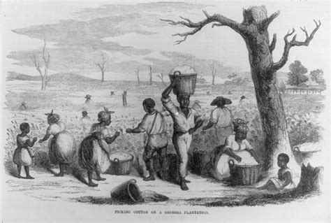 slavery and servitude in colonial north america Epub