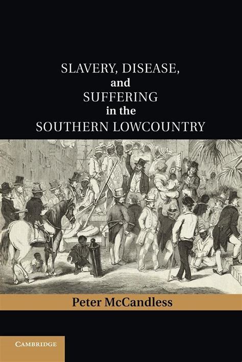 slavery disease and suffering in the southern lowcountry cambridge studies on the american south PDF