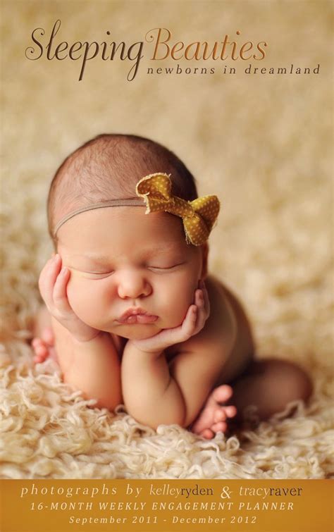 sleeping beauties newborns in dreamland 2016 wall calendar Doc