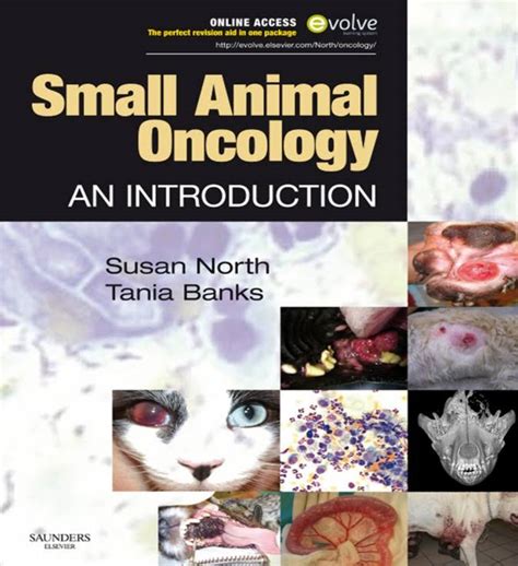 small animal oncology small animal oncology Kindle Editon