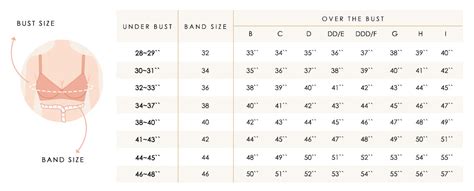 Small Bra Size Chart