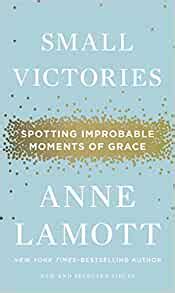 small victories spotting improbable moments of grace Kindle Editon