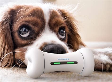 smart dog toys