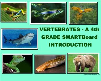 smartboard lessons for fourth grade Doc