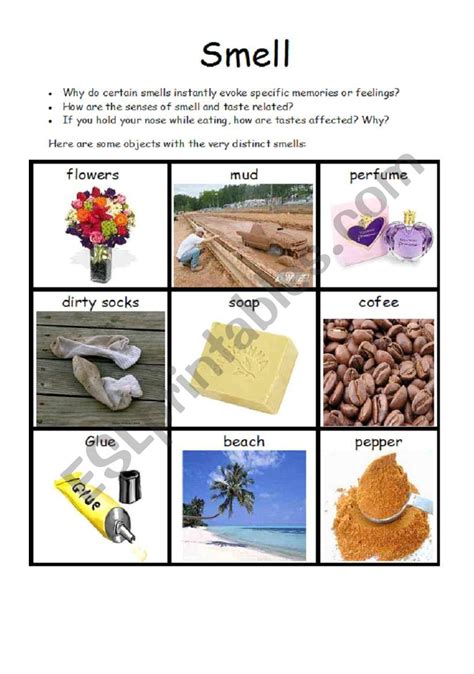 smells good year 3 reading comprehension PDF Epub