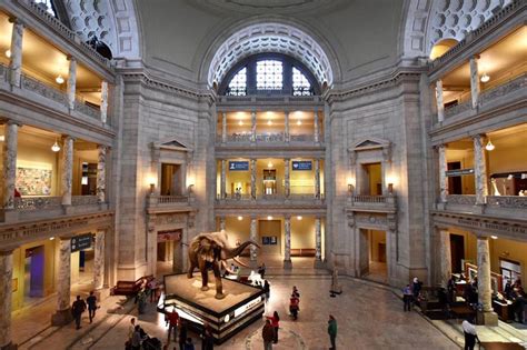 smithsonian national museum of natural history washington