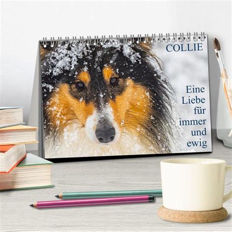 smooth collies 2016 tischkalender quer PDF