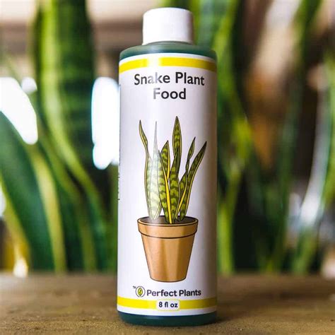 snake plant fertilizer