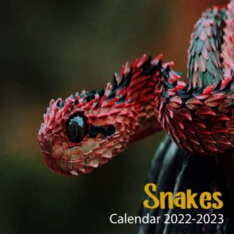 snakes 18 month calendar multilingual edition Epub