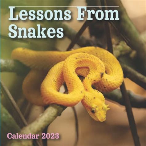 snakes 18 month calendar multilingual edition Epub