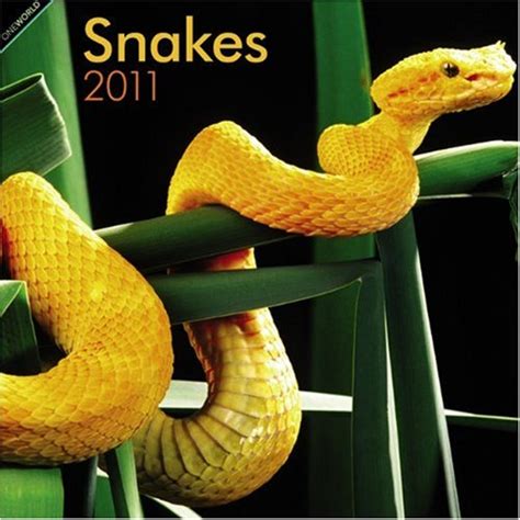 snakes 2011 square 12x12 wall calendar Reader