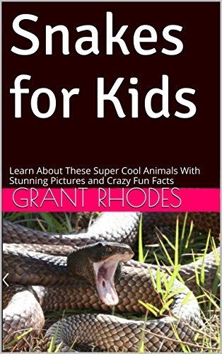 snakes for kids learn about these super cool animals with stunning pictures and crazy fun facts awesome animal Reader