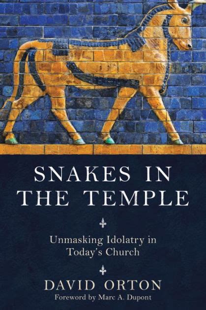 snakes in the temple unmasking idolotry in today’s church Doc