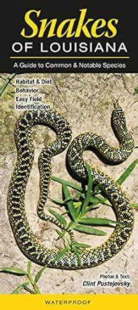 snakes of louisiana a guide to common and notable species PDF