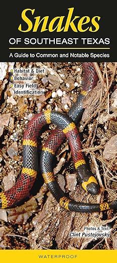 snakes of southeast texas a guide to common and notable species quick reference guides Reader