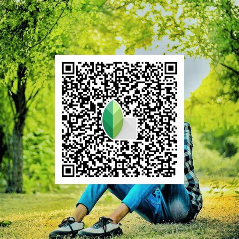 snapseed qr look