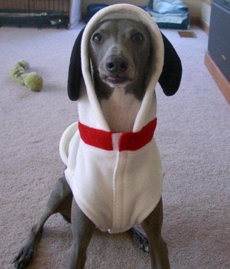 snoopy costume for dogs