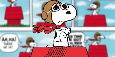 snoopy the flying ace Doc