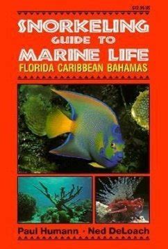 snorkeling guide to marine life florida caribbean bahamas Epub