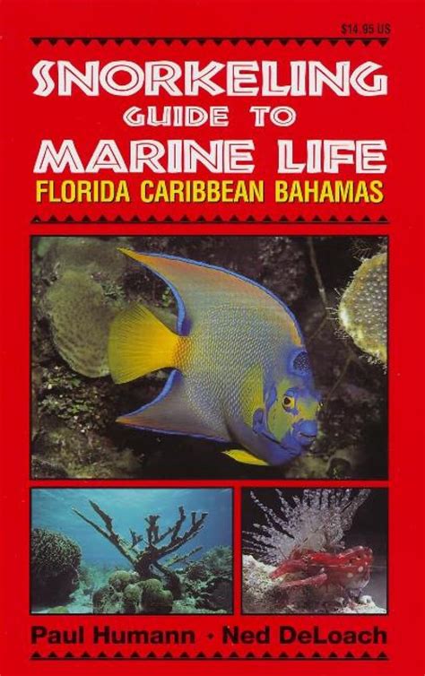 snorkeling guide to marine life florida caribbean bahamas Epub