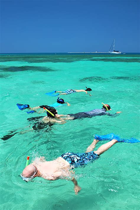 snorkeling the florida keys Epub