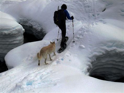 snow bridge other stories Doc