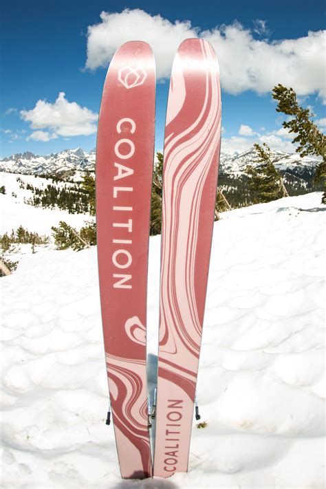 snow coalition