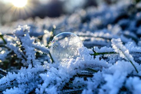 snowy bubbles