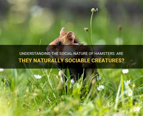 social creatures social creatures PDF