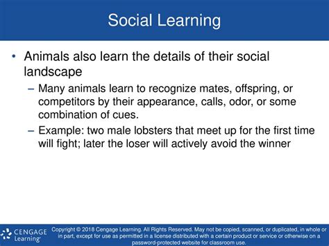 social learning in animals social learning in animals Reader