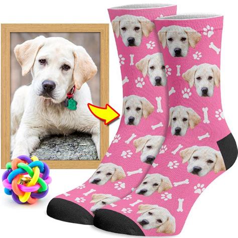 socks with dog face